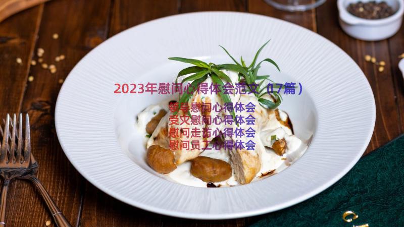 2023年慰问心得体会范文（17篇）