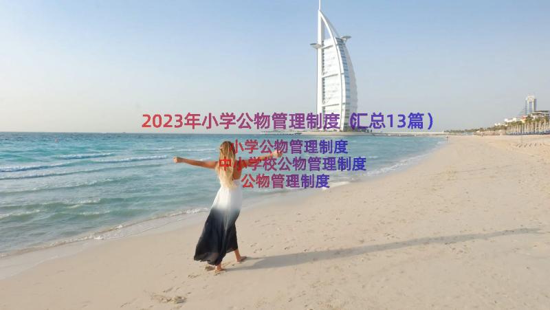 2023年小学公物管理制度（汇总13篇）