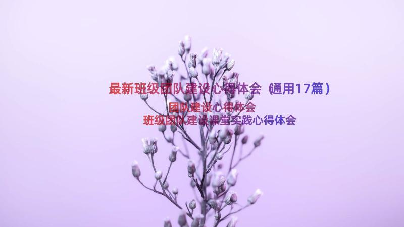 最新班级团队建设心得体会（通用17篇）