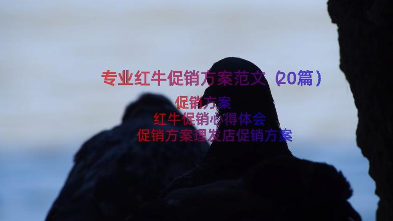 专业红牛促销方案范文（20篇）