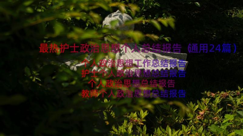 最热护士政治思想个人总结报告（通用24篇）