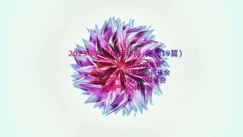 2023年产品使用心得（案例19篇）