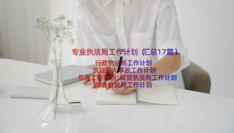 专业执法局工作计划（汇总17篇）