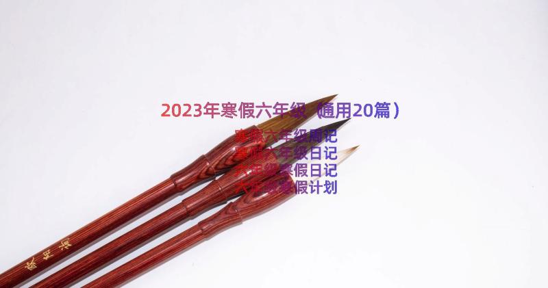 2023年寒假六年级（通用20篇）