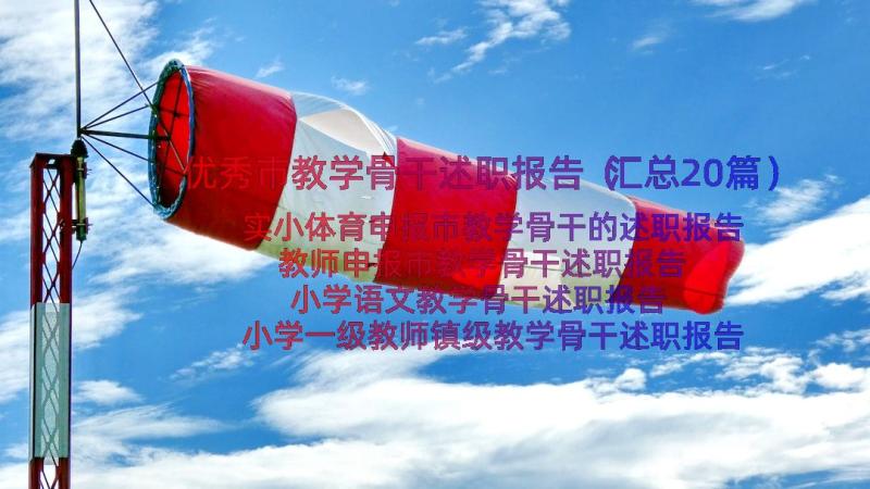 优秀市教学骨干述职报告（汇总20篇）