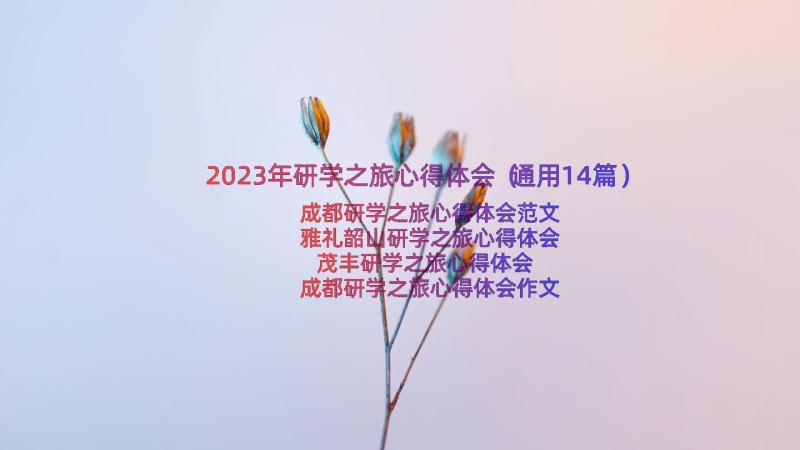 2023年研学之旅心得体会（通用14篇）