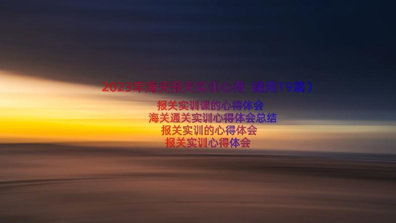 2023年海关报关实训心得（通用19篇）