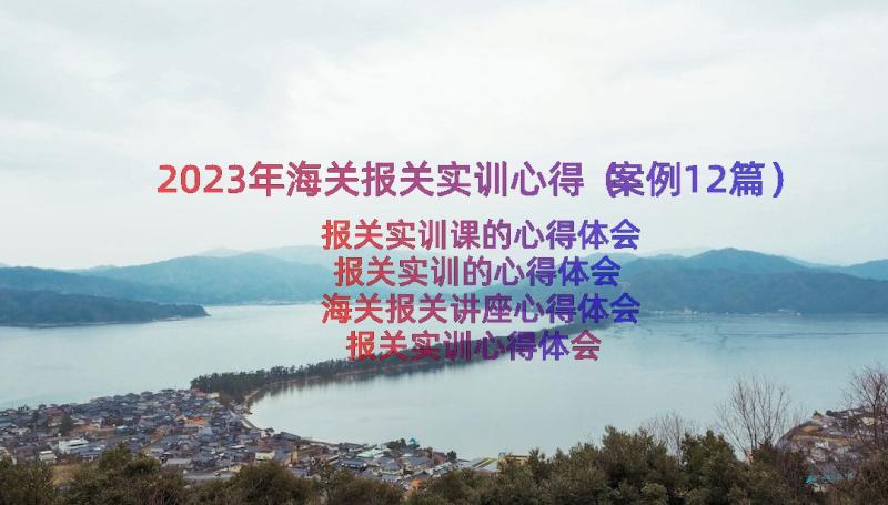 2023年海关报关实训心得（案例12篇）