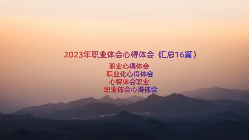 2023年职业体会心得体会（汇总16篇）