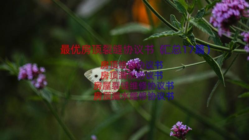 最优房顶裂缝协议书（汇总17篇）