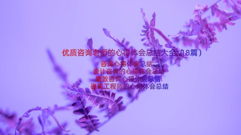 优质咨询老师的心得体会总结大全（18篇）