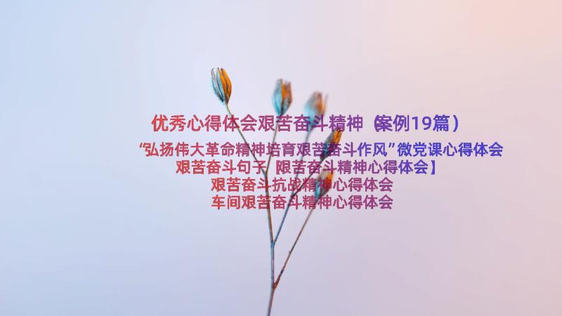 优秀心得体会艰苦奋斗精神（案例19篇）