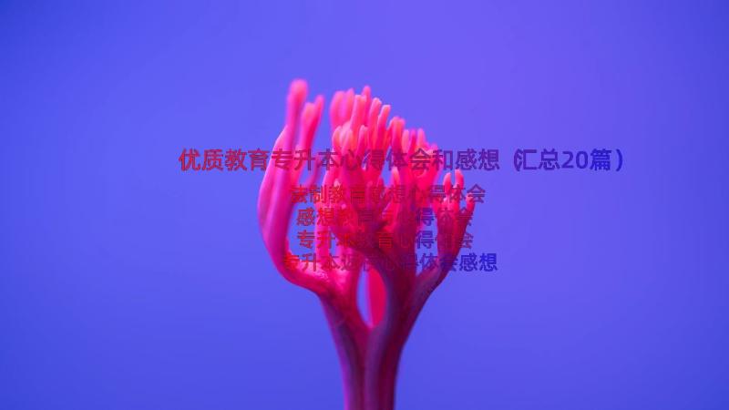 优质教育专升本心得体会和感想（汇总20篇）