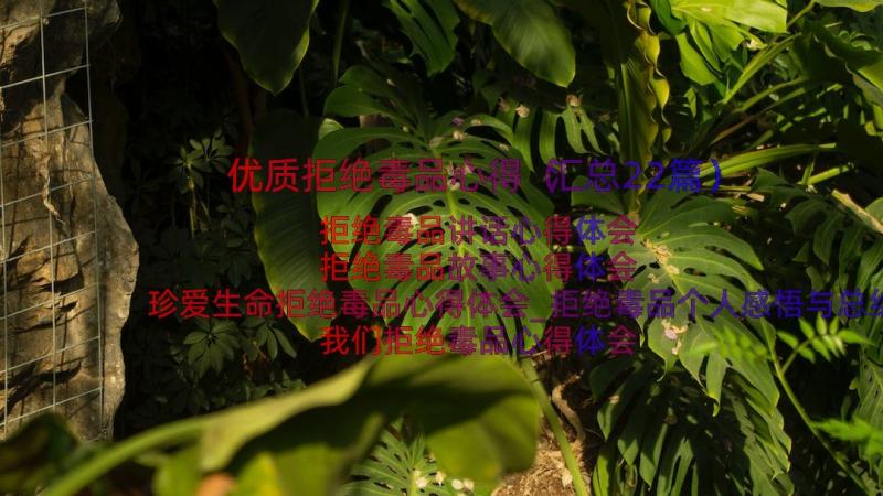 优质拒绝毒品心得（汇总22篇）