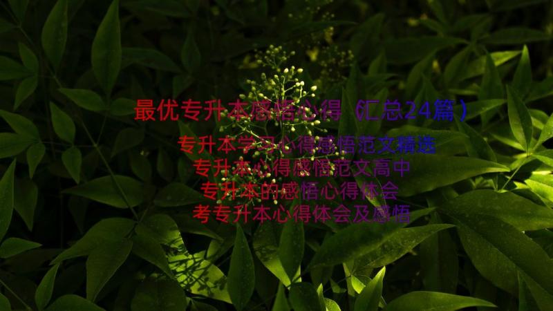 最优专升本感悟心得（汇总24篇）