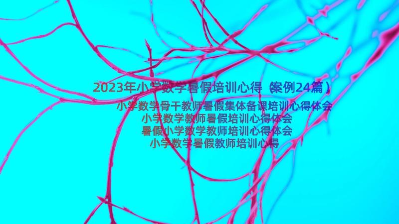 2023年小学数学暑假培训心得（案例24篇）