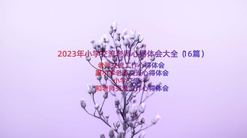 2023年小学交流老师心得体会大全（16篇）