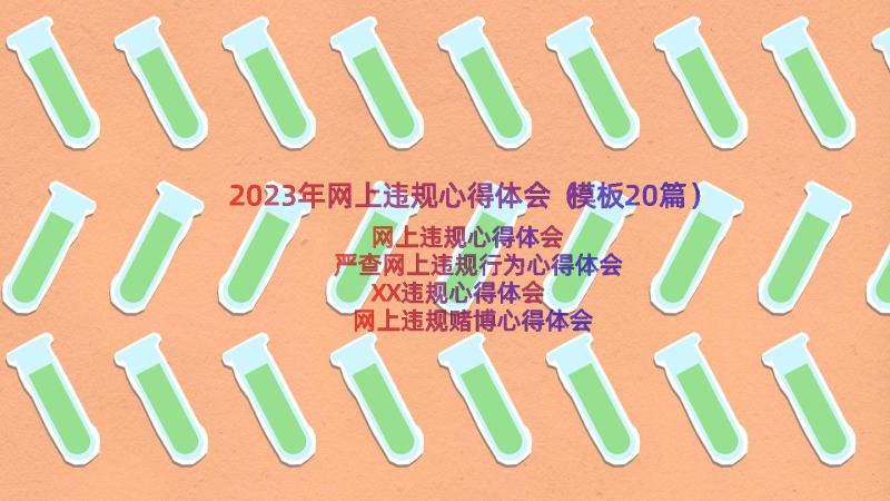 2023年网上违规心得体会（模板20篇）