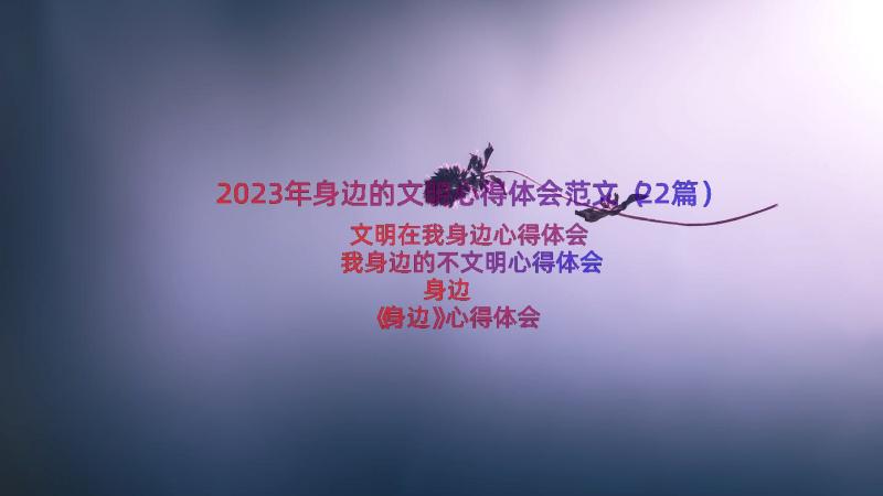 2023年身边的文明心得体会范文（22篇）