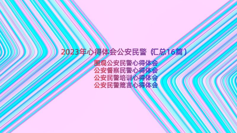 2023年心得体会公安民警（汇总16篇）