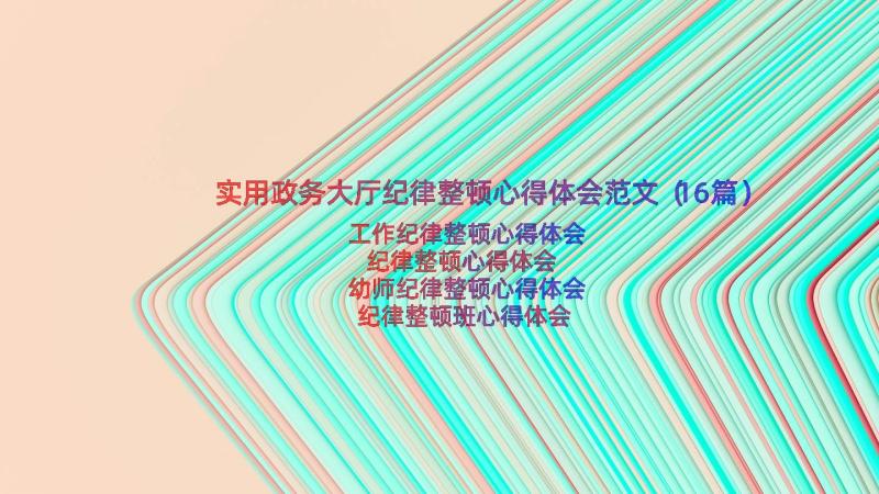 实用政务大厅纪律整顿心得体会范文（16篇）