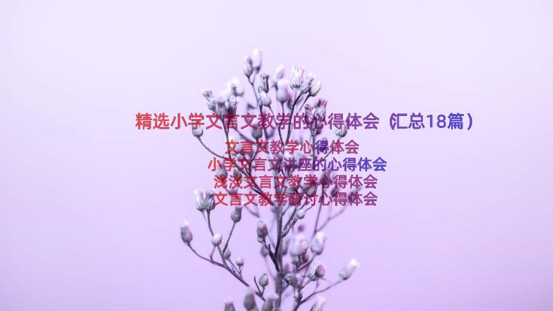 精选小学文言文教学的心得体会（汇总18篇）