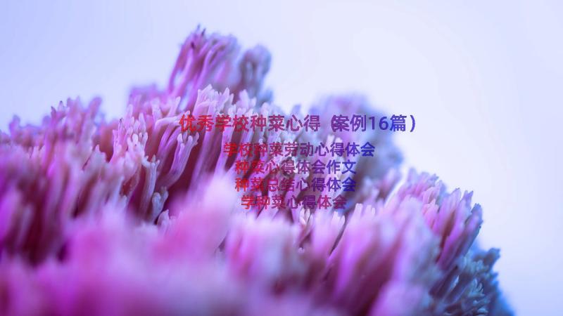 优秀学校种菜心得（案例16篇）