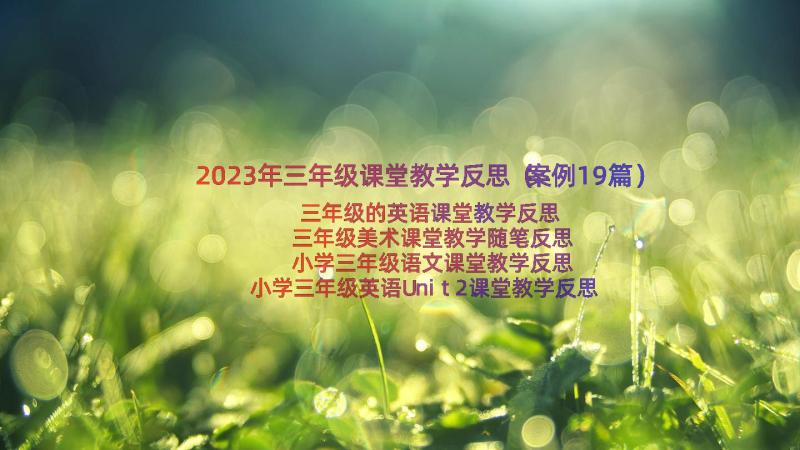 2023年三年级课堂教学反思（案例19篇）