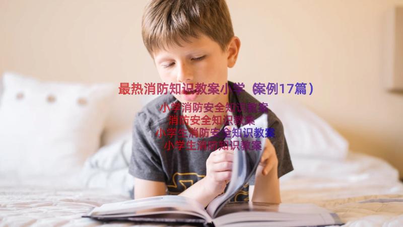 最热消防知识教案小学（案例17篇）