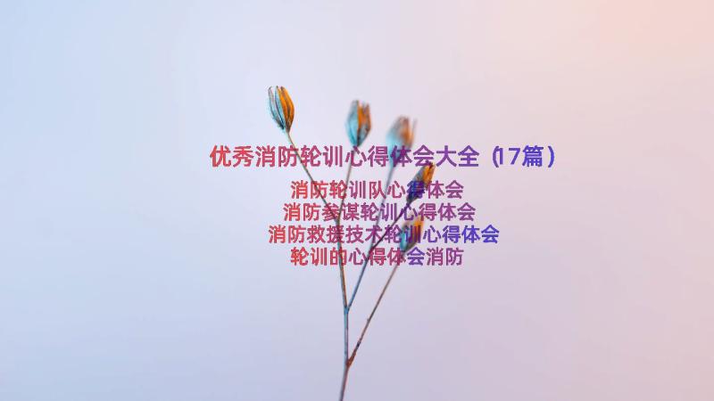 优秀消防轮训心得体会大全（17篇）