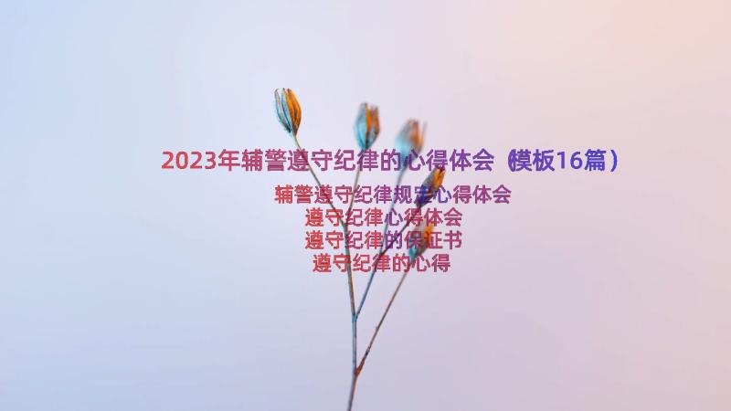 2023年辅警遵守纪律的心得体会（模板16篇）