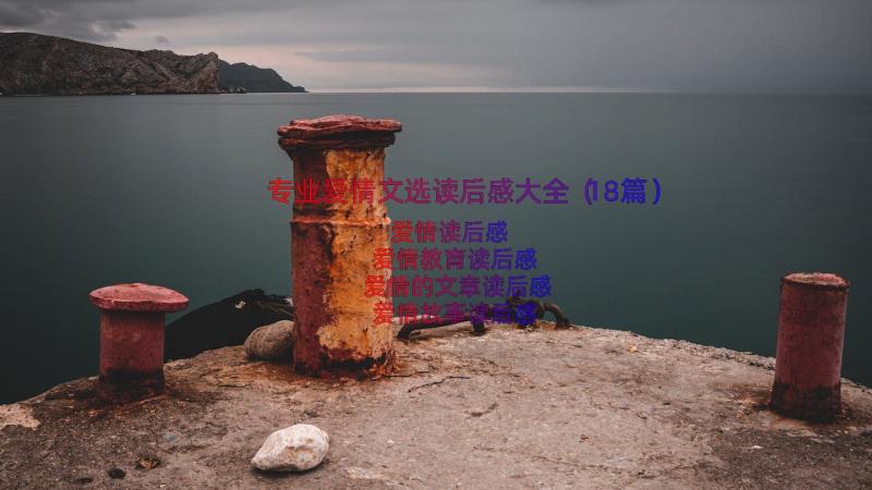 专业爱情文选读后感大全（18篇）