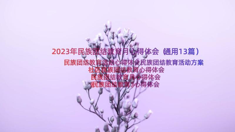 2023年民族团结教育月心得体会（通用13篇）