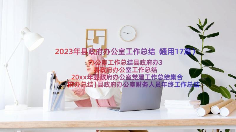 2023年县政府办公室工作总结（通用17篇）