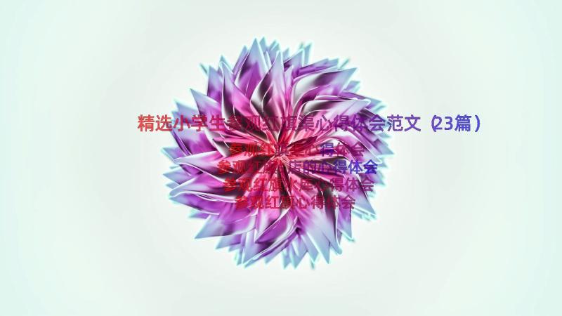 精选小学生参观红旗渠心得体会范文（23篇）