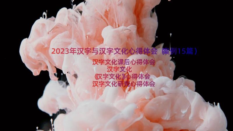 2023年汉字与汉字文化心得体会（案例15篇）