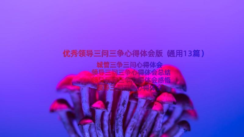 优秀领导三问三争心得体会版（通用13篇）