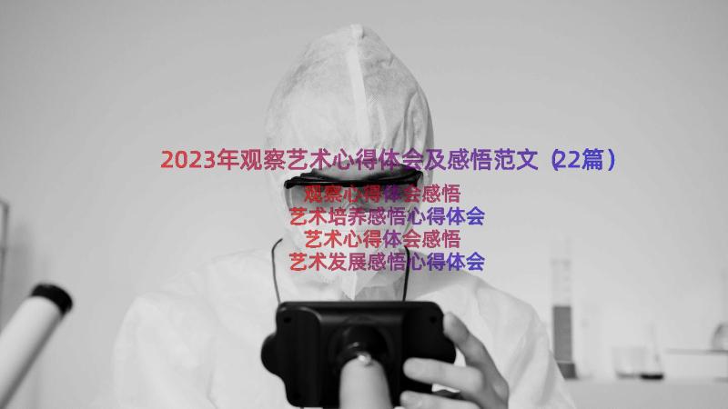 2023年观察艺术心得体会及感悟范文（22篇）