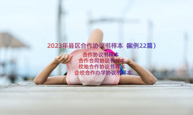 2023年县区合作协议书样本（案例22篇）