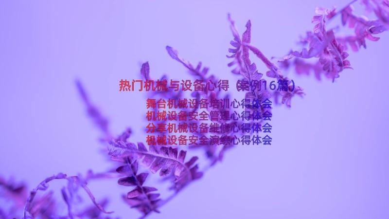 热门机械与设备心得（案例16篇）