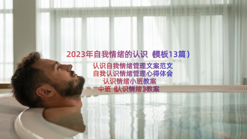 2023年自我情绪的认识（模板13篇）