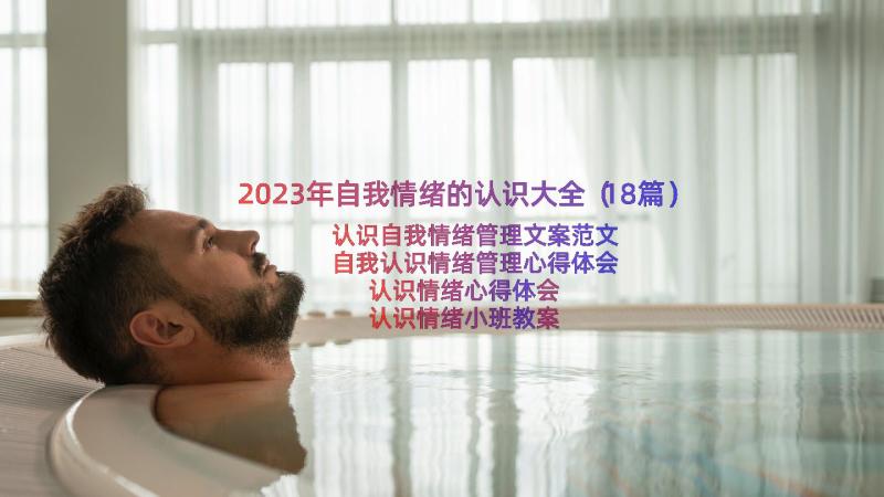 2023年自我情绪的认识大全（18篇）