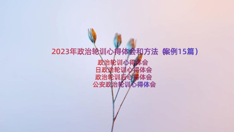 2023年政治轮训心得体会和方法（案例15篇）