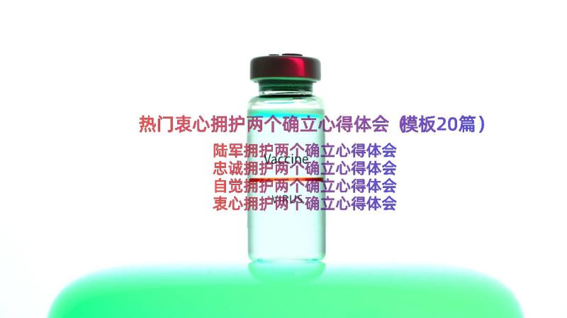 热门衷心拥护两个确立心得体会（模板20篇）