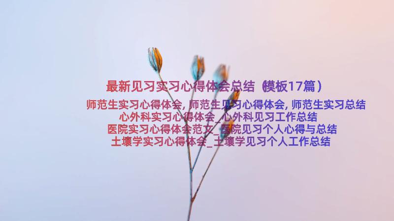 最新见习实习心得体会总结（模板17篇）