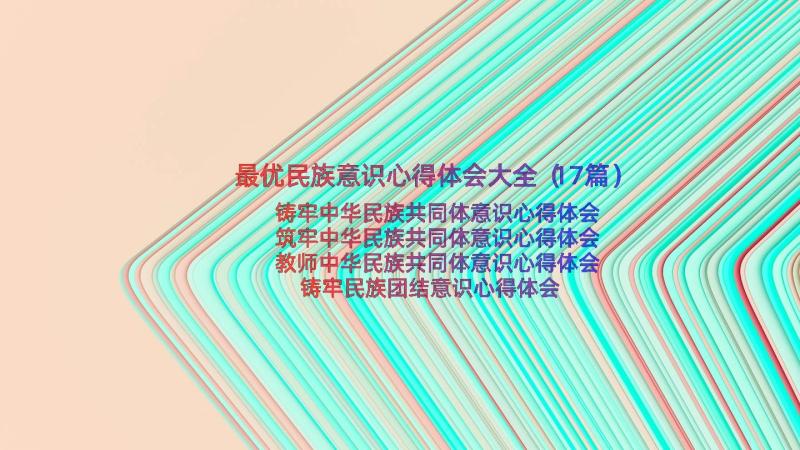 最优民族意识心得体会大全（17篇）