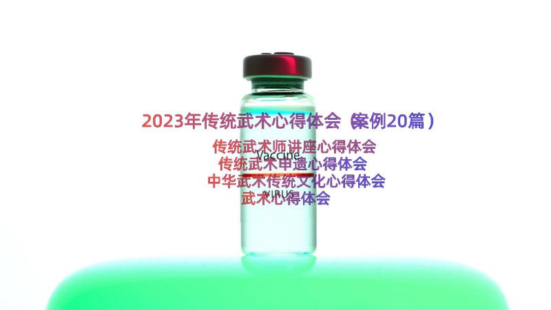 2023年传统武术心得体会（案例20篇）