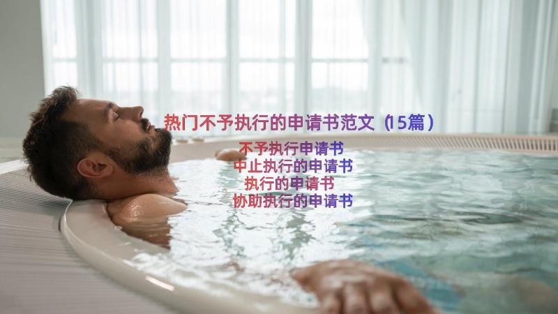 热门不予执行的申请书范文（15篇）