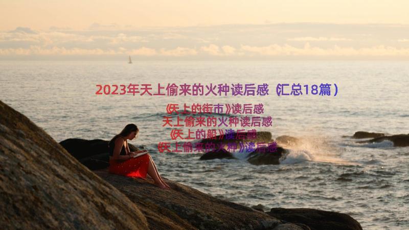 2023年天上偷来的火种读后感（汇总18篇）