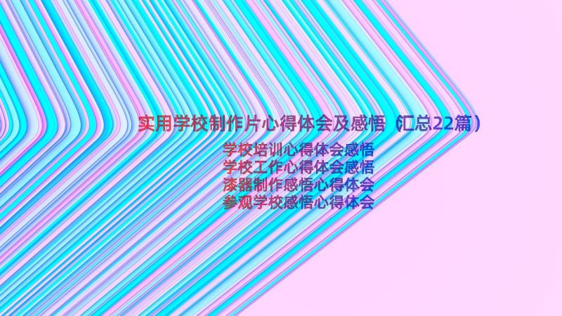 实用学校制作片心得体会及感悟（汇总22篇）